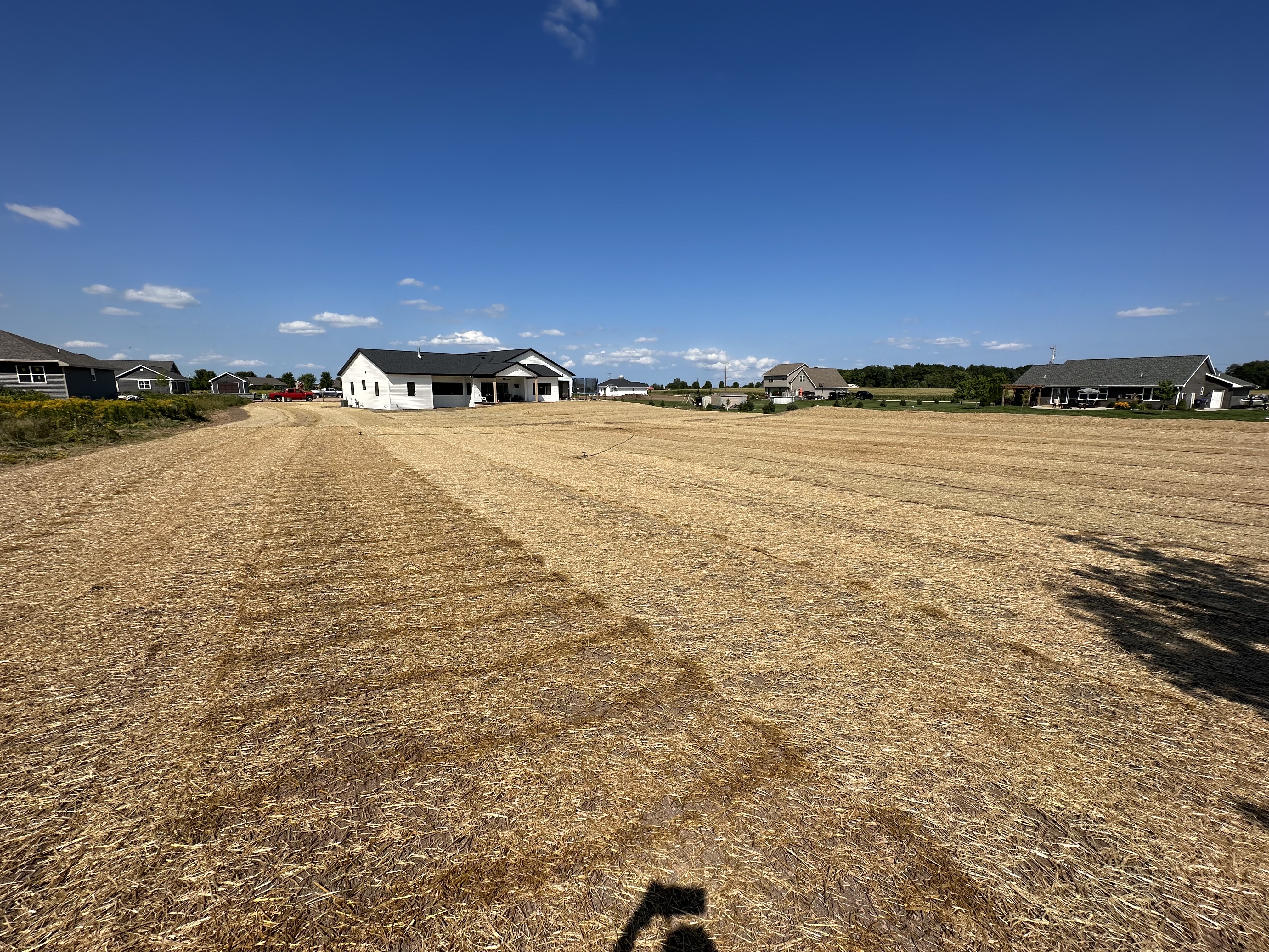 Fresh lawn installation with newly prepared turf